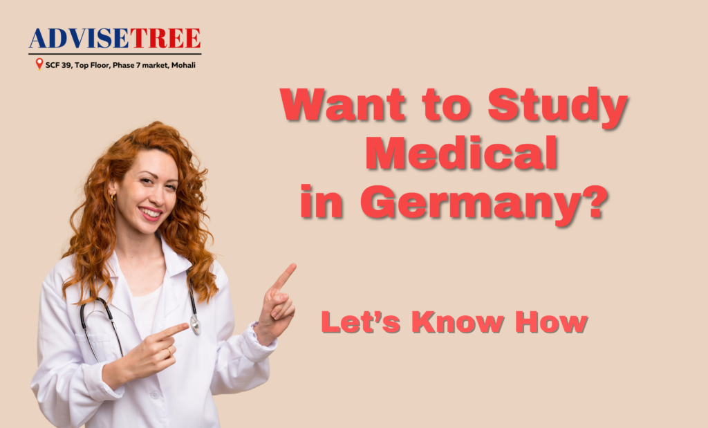 Study Medical in Germany